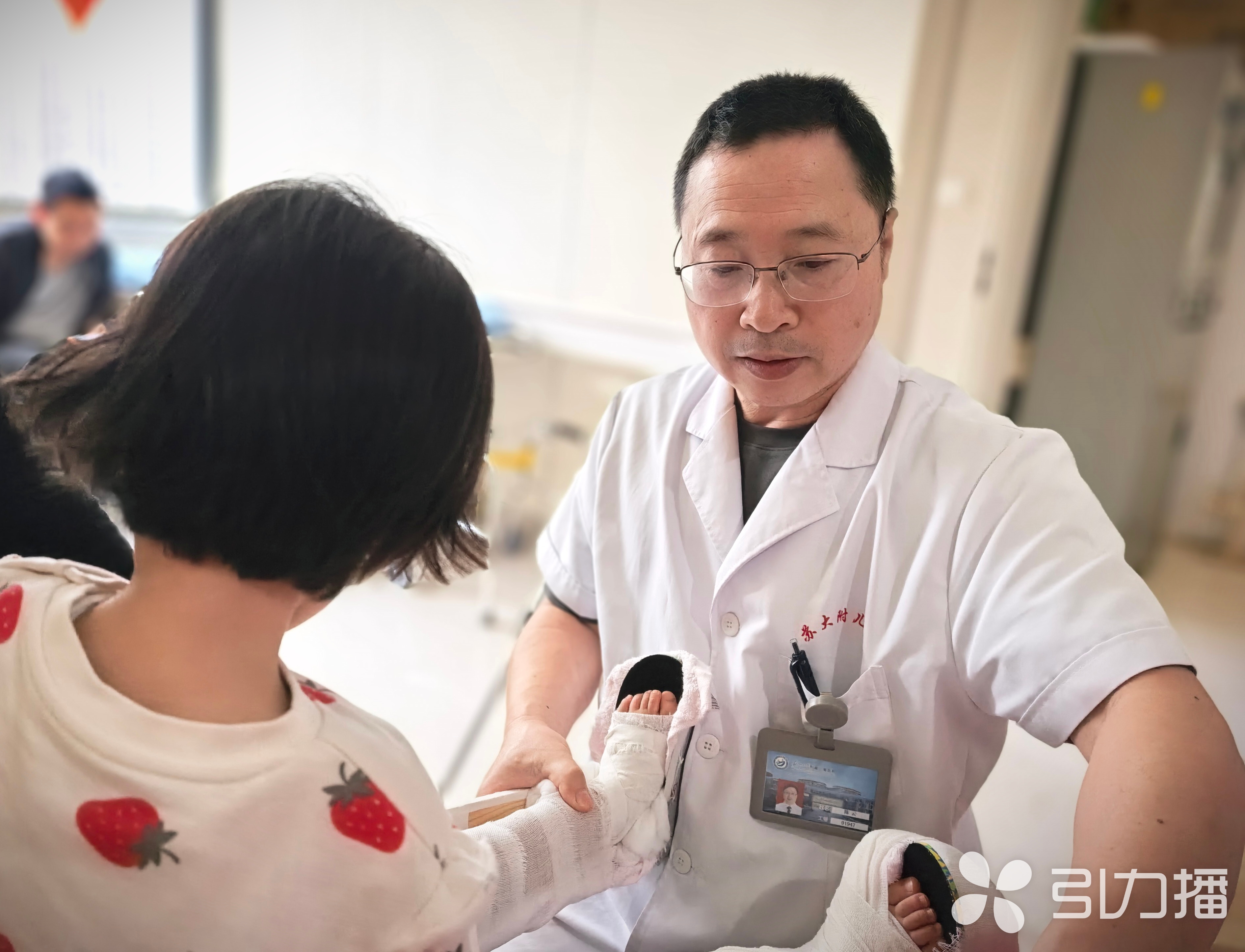 苏报融媒记者 李静/摄 苏报融媒记者 李静/摄